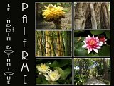 jardin botanique